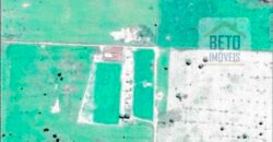 Fazenda à Venda 39 mil hectares Dupla Aptidão Lavoura e Pecuária Pista de pouso | Vale do Araguaia/ MT Fazenda à Venda 39 mil hectares Dupla Aptidão Lavoura e Pecuária Pista de pouso | Vale do Araguaia/ MT