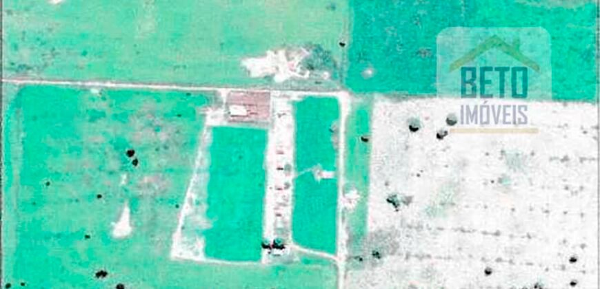 Fazenda à Venda 39 mil hectares Dupla Aptidão Lavoura e Pecuária Pista de pouso | Vale do Araguaia/ MT Fazenda à Venda 39 mil hectares Dupla Aptidão Lavoura e Pecuária Pista de pouso | Vale do Araguaia/ MT