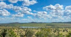 Fazenda à Venda 14.200 hectares Estrutura pecuária Pista Pouso e Represas | Goiânia/ GO Fazenda à Venda 14.200 hectares Estrutura pecuária Pista Pouso e Represas | Goiânia/ GO