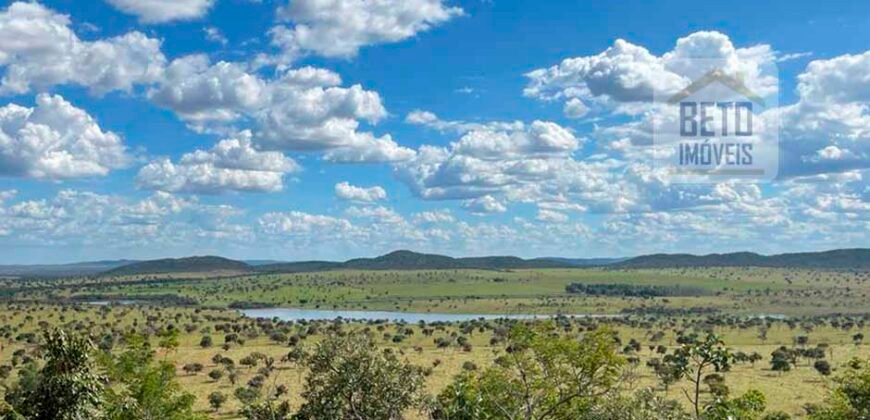 Fazenda à Venda 14.200 hectares Estrutura pecuária Pista Pouso e Represas | Goiânia/ GO Fazenda à Venda 14.200 hectares Estrutura pecuária Pista Pouso e Represas | Goiânia/ GO