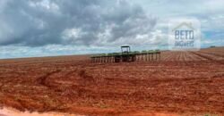 Fazenda à Venda 14.200 hectares Estrutura pecuária Pista Pouso e Represas | Goiânia/ GO Fazenda à Venda 14.200 hectares Estrutura pecuária Pista Pouso e Represas | Goiânia/ GO