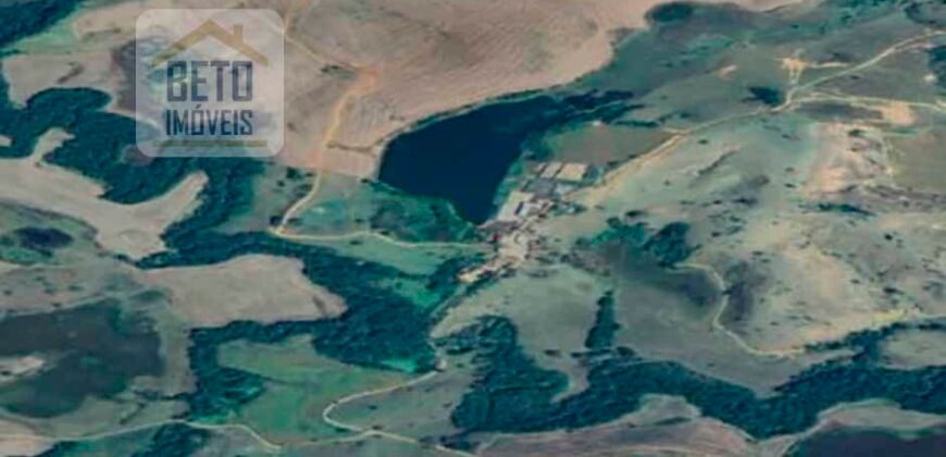 Venda de Fazenda produtiva de Café e Pecuária c/ 2.495 ha Próximo ao Aeroporto | Bambuí/ MG