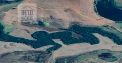 Venda de Fazenda produtiva de Café e Pecuária c/ 2.495 ha Próximo ao Aeroporto | Bambuí/ MG