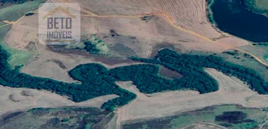 Venda de Fazenda produtiva de Café e Pecuária c/ 2.495 ha Próximo ao Aeroporto | Bambuí/ MG