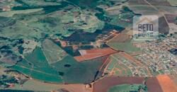 Venda de Fazenda produtiva de Café e Pecuária c/ 2.495 ha Próximo ao Aeroporto | Bambuí/ MG