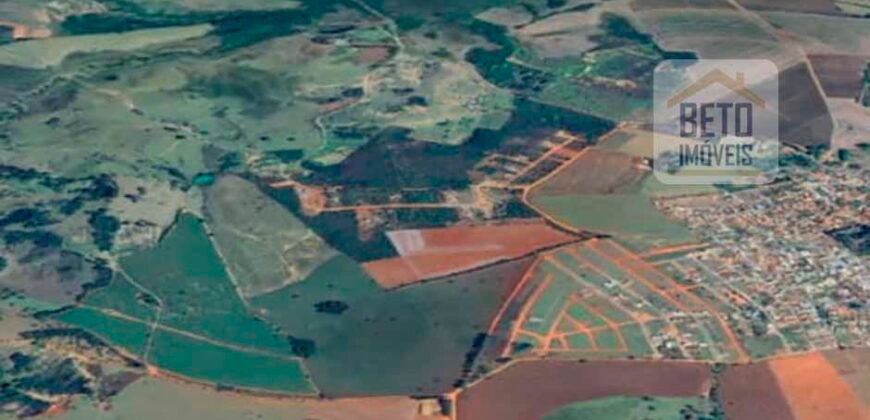 Venda de Fazenda produtiva de Café e Pecuária c/ 2.495 ha Próximo ao Aeroporto | Bambuí/ MG