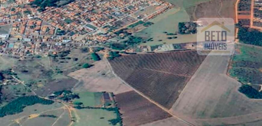 Venda de Fazenda produtiva de Café e Pecuária c/ 2.495 ha Próximo ao Aeroporto | Bambuí/ MG