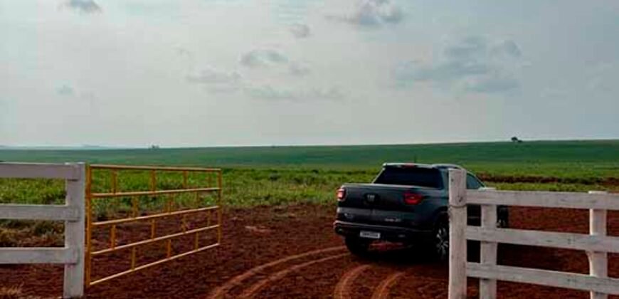 Oportunidade: Fazenda à Venda 250 alqueires para Pecuária | Presidente Eptácio/ SP