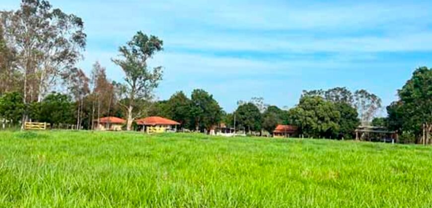 Oportunidade: Fazenda à Venda 250 alqueires para Pecuária | Presidente Eptácio/ SP