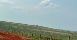 Oportunidade: Fazenda à Venda 250 alqueires para Pecuária | Presidente Eptácio/ SP