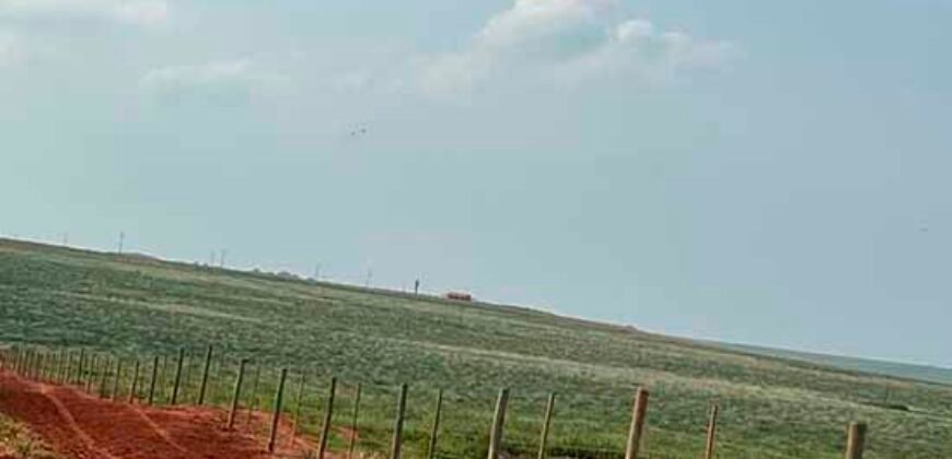 Oportunidade: Fazenda à Venda 250 alqueires para Pecuária | Presidente Eptácio/ SP