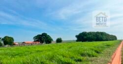 Oportunidade: Fazenda à Venda 250 alqueires para Pecuária | Presidente Eptácio/ SP