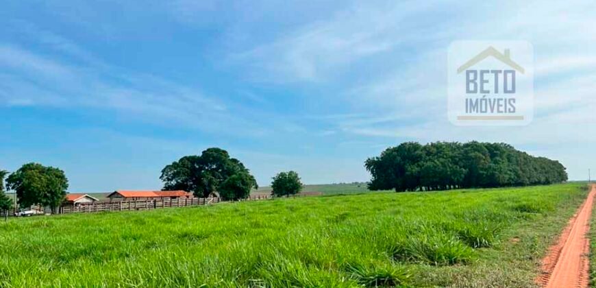 Oportunidade: Fazenda à Venda 250 alqueires para Pecuária | Presidente Eptácio/ SP