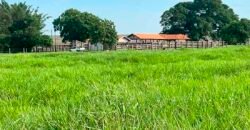 Oportunidade: Fazenda à Venda 250 alqueires para Pecuária | Presidente Eptácio/ SP