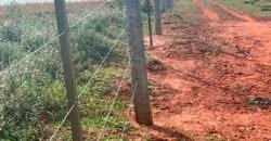 Oportunidade: Fazenda à Venda 250 alqueires para Pecuária | Presidente Eptácio/ SP