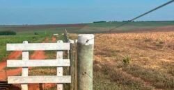 Oportunidade: Fazenda à Venda 250 alqueires para Pecuária | Presidente Eptácio/ SP