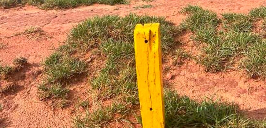 Oportunidade: Fazenda à Venda 250 alqueires para Pecuária | Presidente Eptácio/ SP