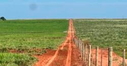 Oportunidade: Fazenda à Venda 250 alqueires para Pecuária | Presidente Eptácio/ SP