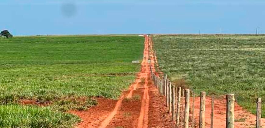 Oportunidade: Fazenda à Venda 250 alqueires para Pecuária | Presidente Eptácio/ SP
