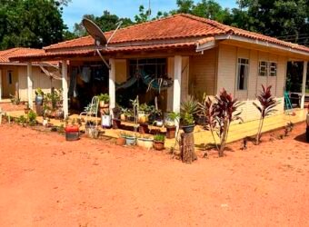 Oportunidade: Fazenda à Venda 250 alqueires para Pecuária | Presidente Eptácio/ SP