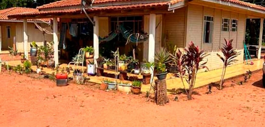 Oportunidade: Fazenda à Venda 250 alqueires para Pecuária | Presidente Eptácio/ SP