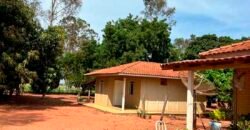 Oportunidade: Fazenda à Venda 250 alqueires para Pecuária | Presidente Eptácio/ SP