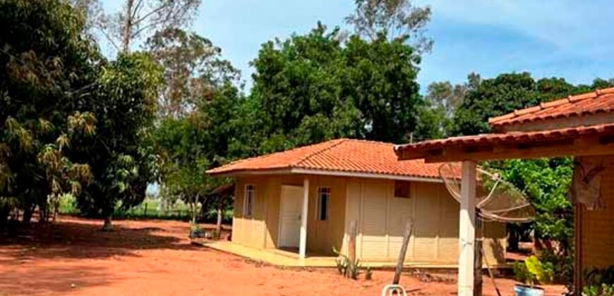 Oportunidade: Fazenda à Venda 250 alqueires para Pecuária | Presidente Eptácio/ SP