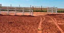 Oportunidade: Fazenda à Venda 250 alqueires para Pecuária | Presidente Eptácio/ SP