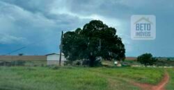 Fazenda à Venda 573 Alqueires para Lavoura de laranja Represa e irrigação | Rancharia/ SP