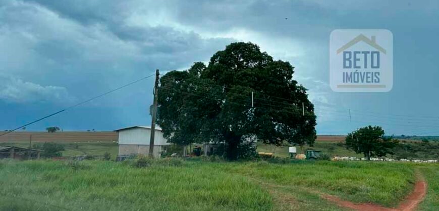 Fazenda à Venda 573 Alqueires para Lavoura de laranja Represa e irrigação | Rancharia/ SP