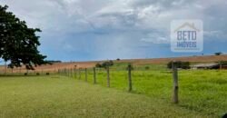 Fazenda à Venda 573 Alqueires para Lavoura de laranja Represa e irrigação | Rancharia/ SP