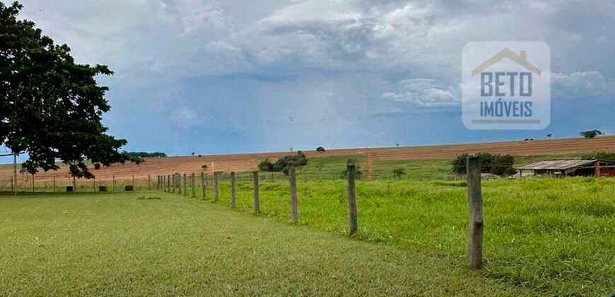 Fazenda à Venda 573 Alqueires para Lavoura de laranja Represa e irrigação | Rancharia/ SP