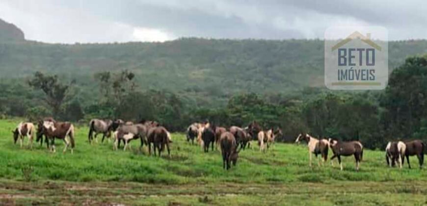 Excelente Fazenda à Venda 20.990 hectares Completa para pecuária | Novo São Joaquim/ MT