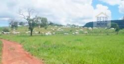 Excelente Fazenda à Venda 20.990 hectares Completa para pecuária | Novo São Joaquim/ MT