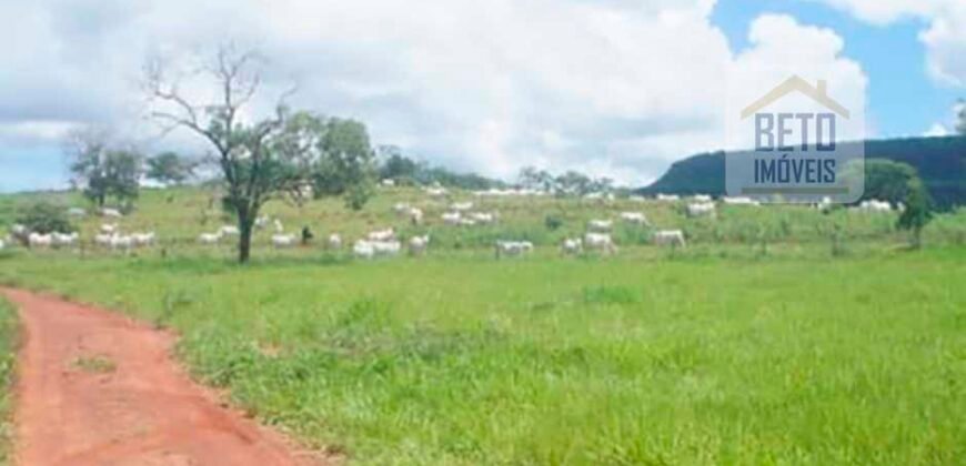 Excelente Fazenda à Venda 20.990 hectares Completa para pecuária | Novo São Joaquim/ MT