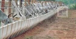 Excelente Fazenda à Venda 20.990 hectares Completa para pecuária | Novo São Joaquim/ MT