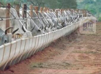 Excelente Fazenda à Venda 20.990 hectares Completa para pecuária | Novo São Joaquim/ MT