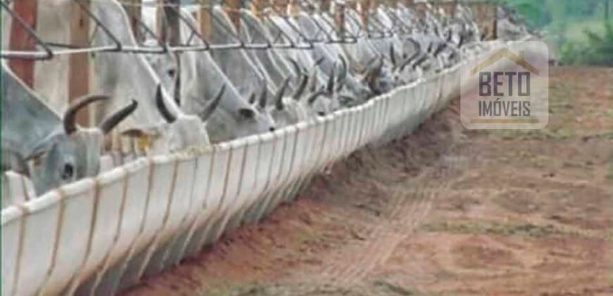 Excelente Fazenda à Venda 20.990 hectares Completa para pecuária | Novo São Joaquim/ MT