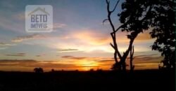 Excelente Fazenda à Venda 20.990 hectares Completa para pecuária | Novo São Joaquim/ MT