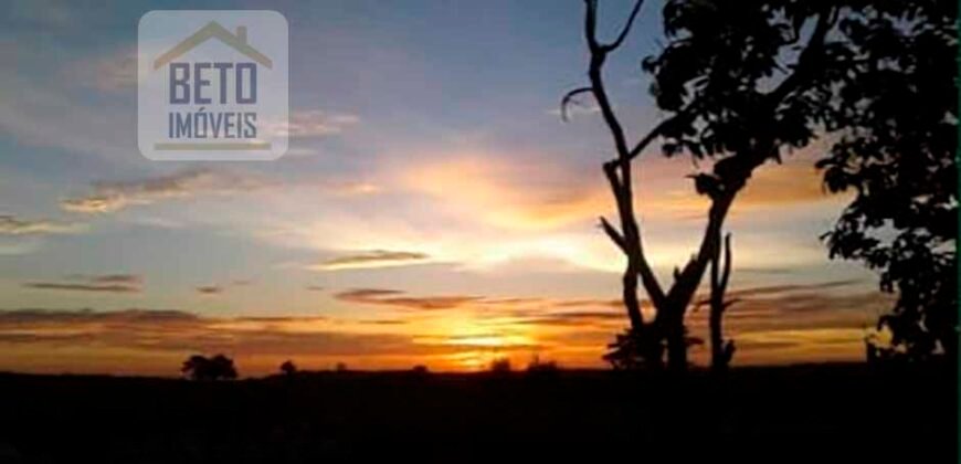 Excelente Fazenda à Venda 20.990 hectares Completa para pecuária | Novo São Joaquim/ MT