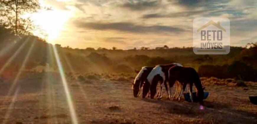 Excelente Fazenda à Venda 20.990 hectares Completa para pecuária | Novo São Joaquim/ MT