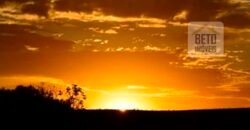 Excelente Fazenda à Venda 20.990 hectares Completa para pecuária | Novo São Joaquim/ MT