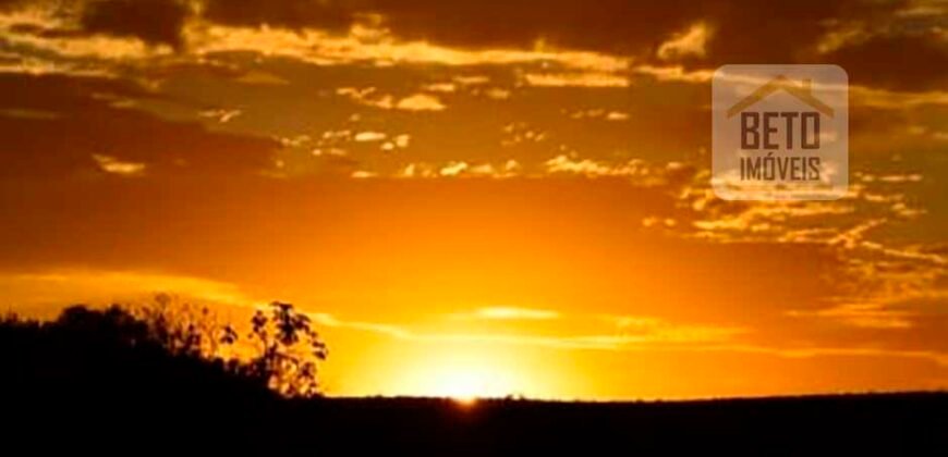 Excelente Fazenda à Venda 20.990 hectares Completa para pecuária | Novo São Joaquim/ MT