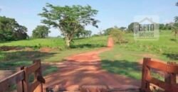 Excelente Fazenda à Venda 20.990 hectares Completa para pecuária | Novo São Joaquim/ MT