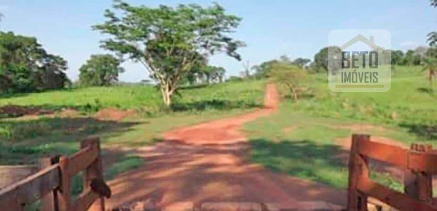 Excelente Fazenda à Venda 20.990 hectares Completa para pecuária | Novo São Joaquim/ MT