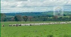 Excelente Fazenda à Venda 20.990 hectares Completa para pecuária | Novo São Joaquim/ MT