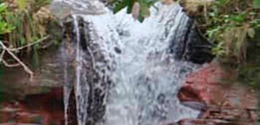 Excelente Fazenda à Venda 20.990 hectares Completa para pecuária | Novo São Joaquim/ MT