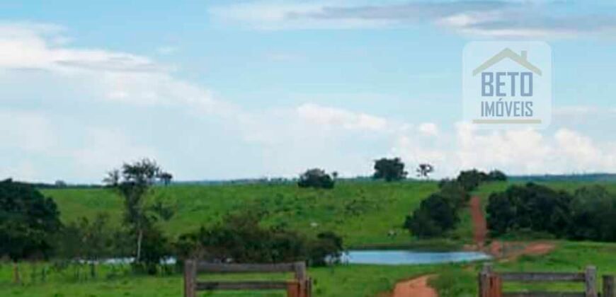 Excelente Fazenda à Venda 20.990 hectares Completa para pecuária | Novo São Joaquim/ MT