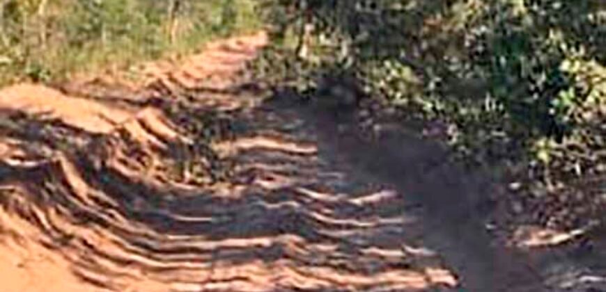 Excelente Fazenda à Venda 20.990 hectares Completa para pecuária | Novo São Joaquim/ MT