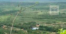 Excelente Fazenda à Venda 20.990 hectares Completa para pecuária | Novo São Joaquim/ MT